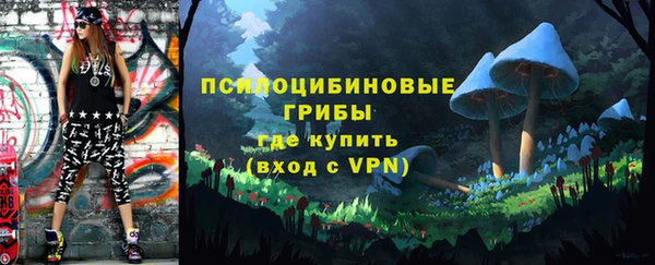 ПСИЛОЦИБИНОВЫЕ ГРИБЫ Алексеевка