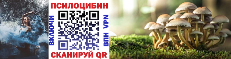 OMG ССЫЛКА Ярцево Псилоцибиновые грибы Psilocybe