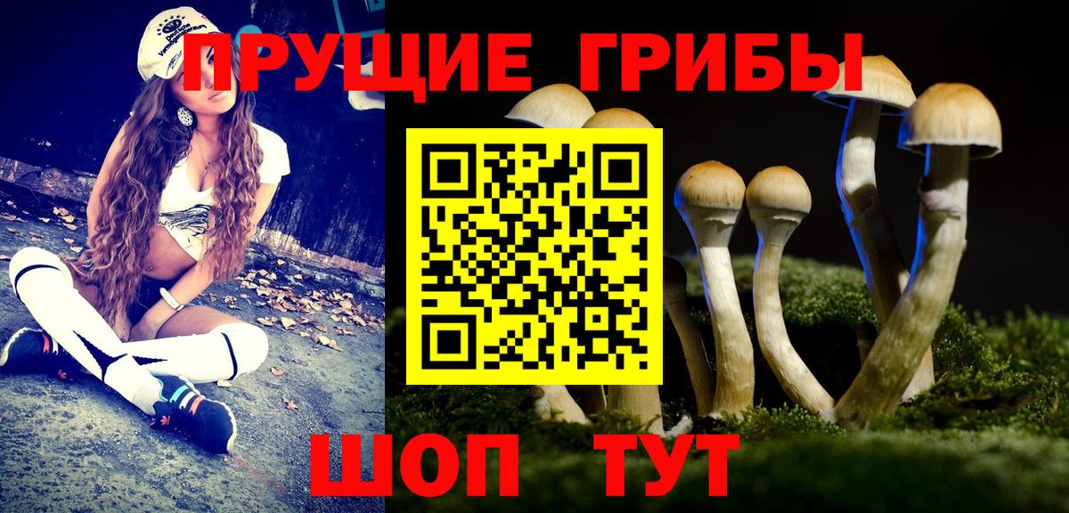 Галлюциногенные грибы мухоморы  Галлюциногенные грибы Cubensis  Вход с VPN  Ярцево 