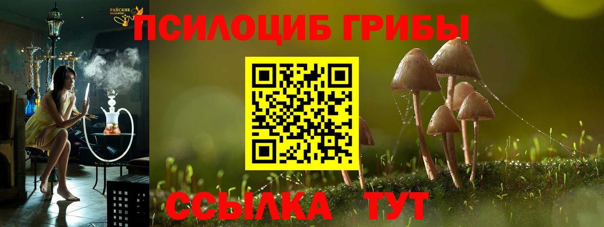 Псилоцибиновые грибы прущие грибы Ярцево